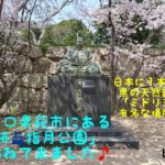 今回は山口県萩市にある「萩城跡 指月公園」にお花見に行って来ました♪「中国の大守」と言われた毛利輝元が着手して築城した「萩城の跡地」…この季節になると500本余りの「ソメイヨシノ」の桜で覆い尽くされとても綺麗なんです。そしてなんといっても日本ではここでしか見れない県の天然記念物の「ミドリヨシノ」いや〜見所満載ですよ！